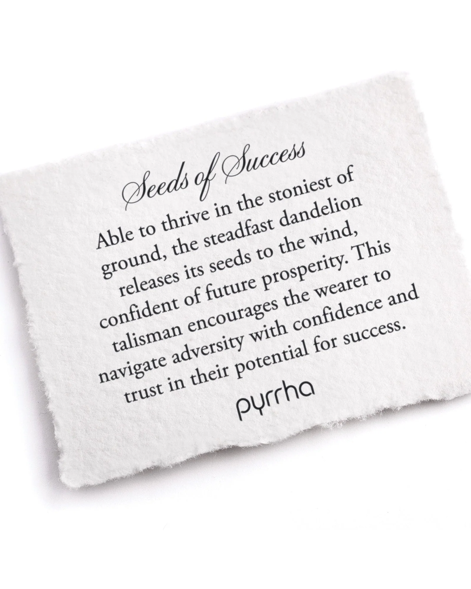 Seeds Of Success Talisman - Image 2
