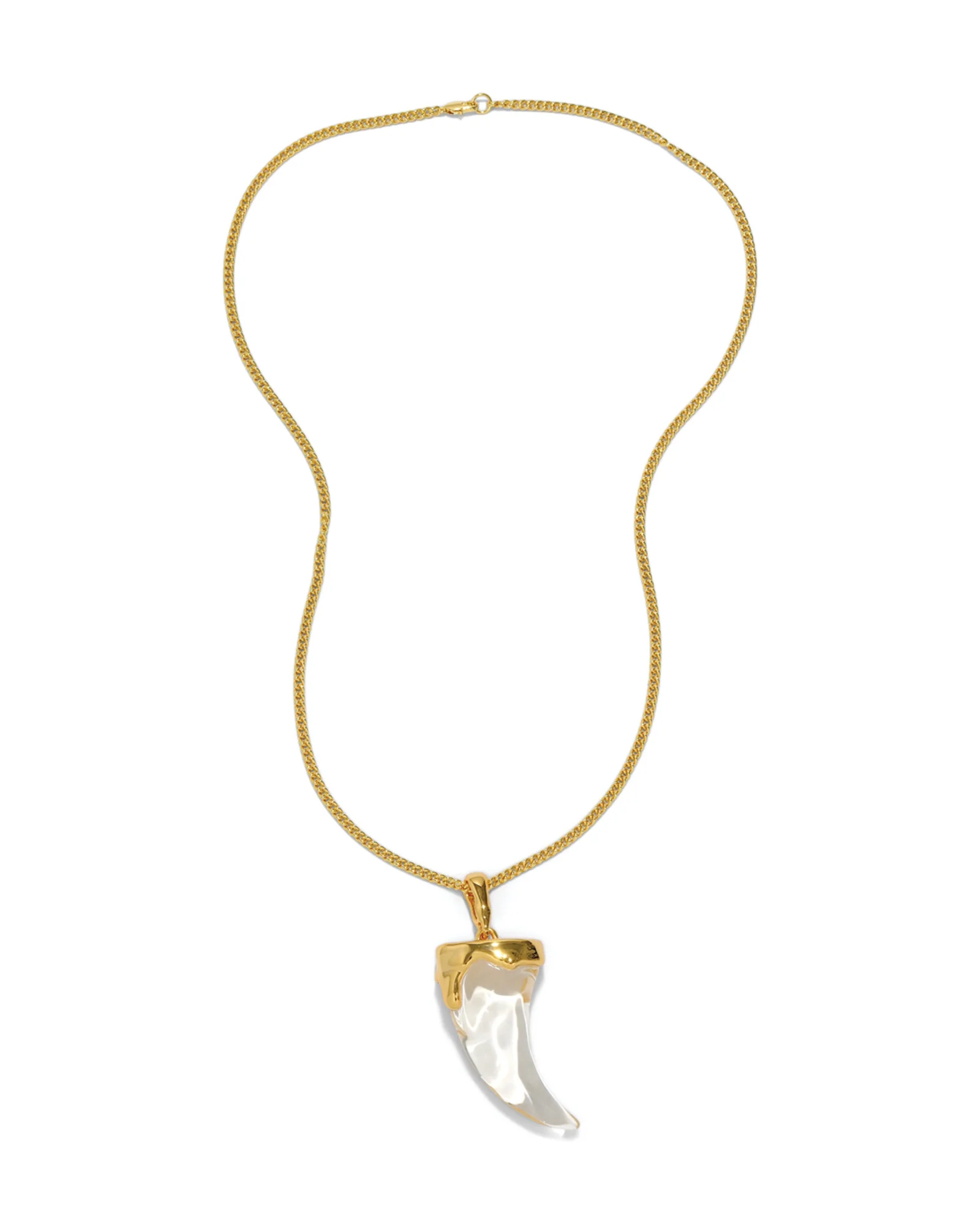 Liquid Lucite Horn Pendant Necklace - Image 3