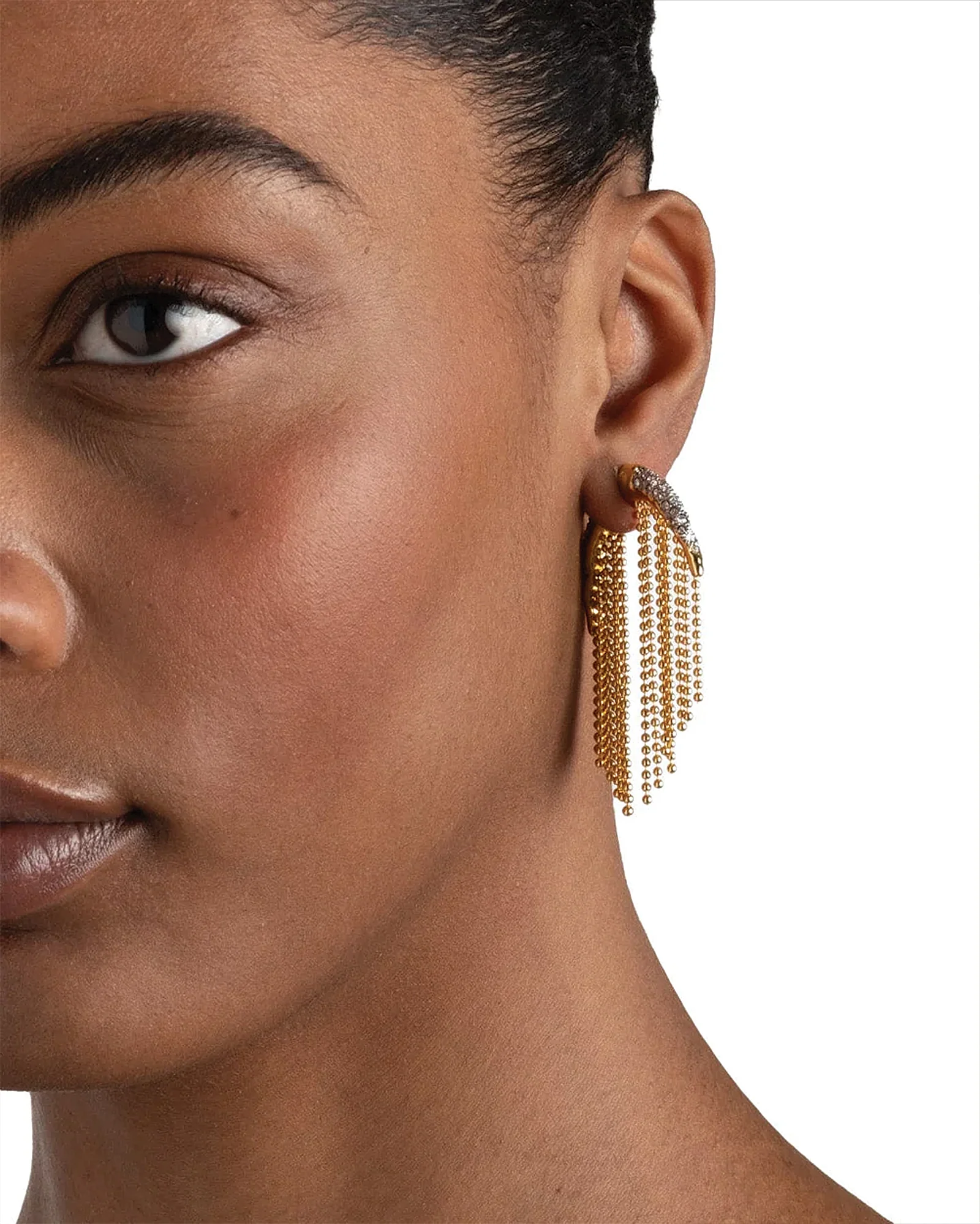 Solanales Crystal Fringed Front Back Earrings - Image 4