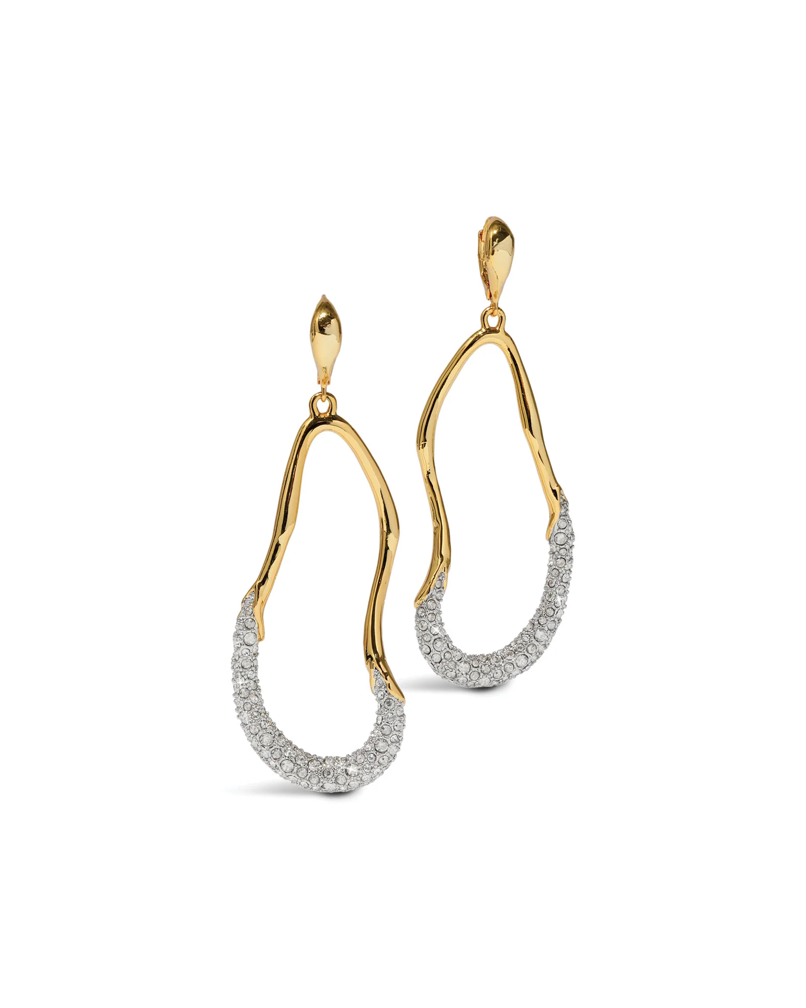 Solanales Crystal Curve Leverback Drop Earrings