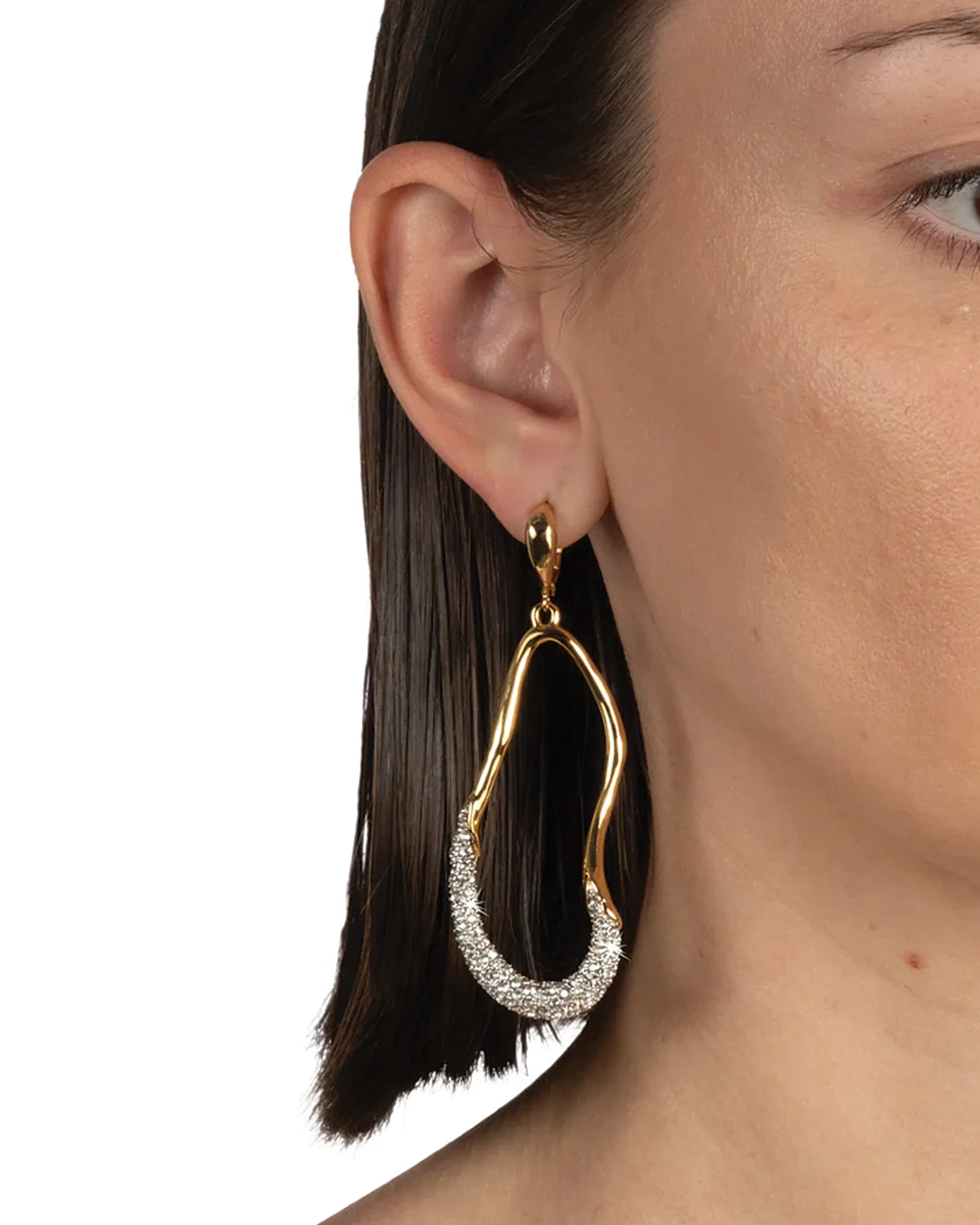 Solanales Crystal Curve Leverback Drop Earrings - Image 4