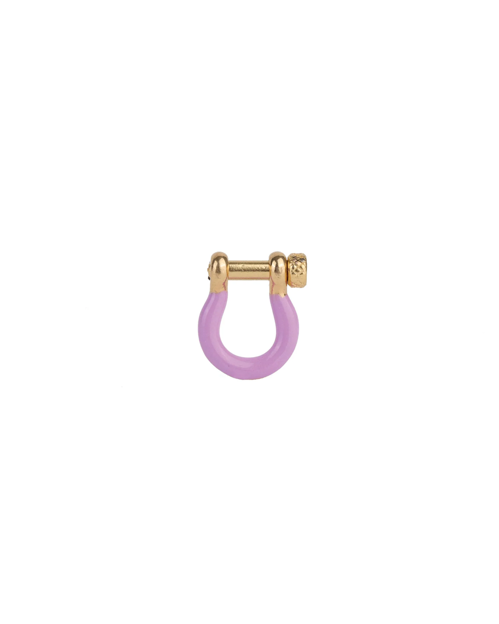 Enamel Carabiner