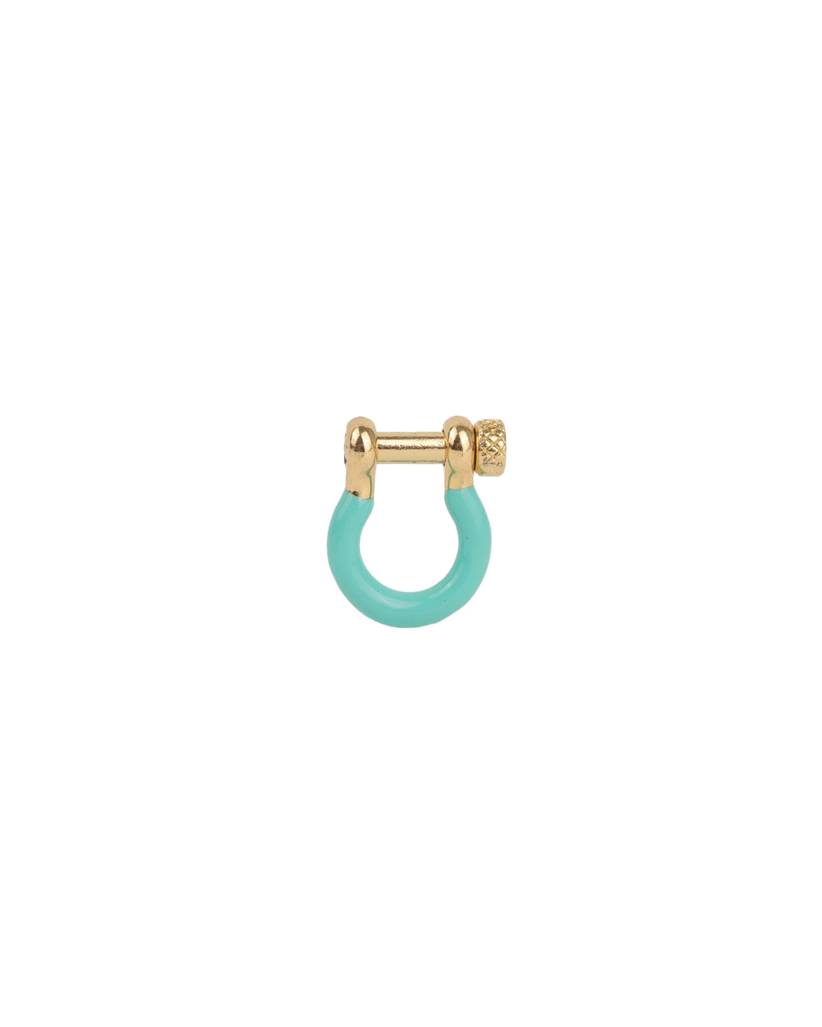 Enamel Carabiner