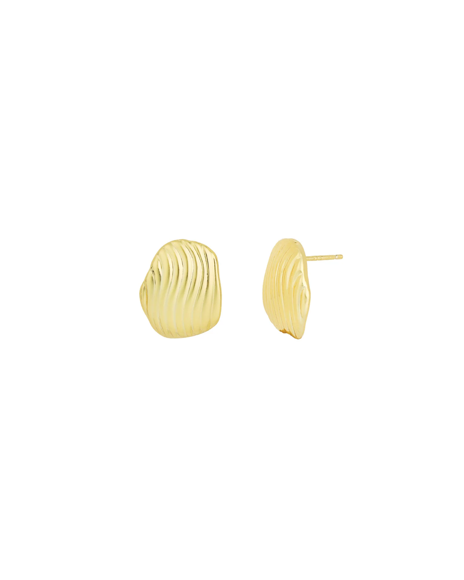 Ridged Shell Studs