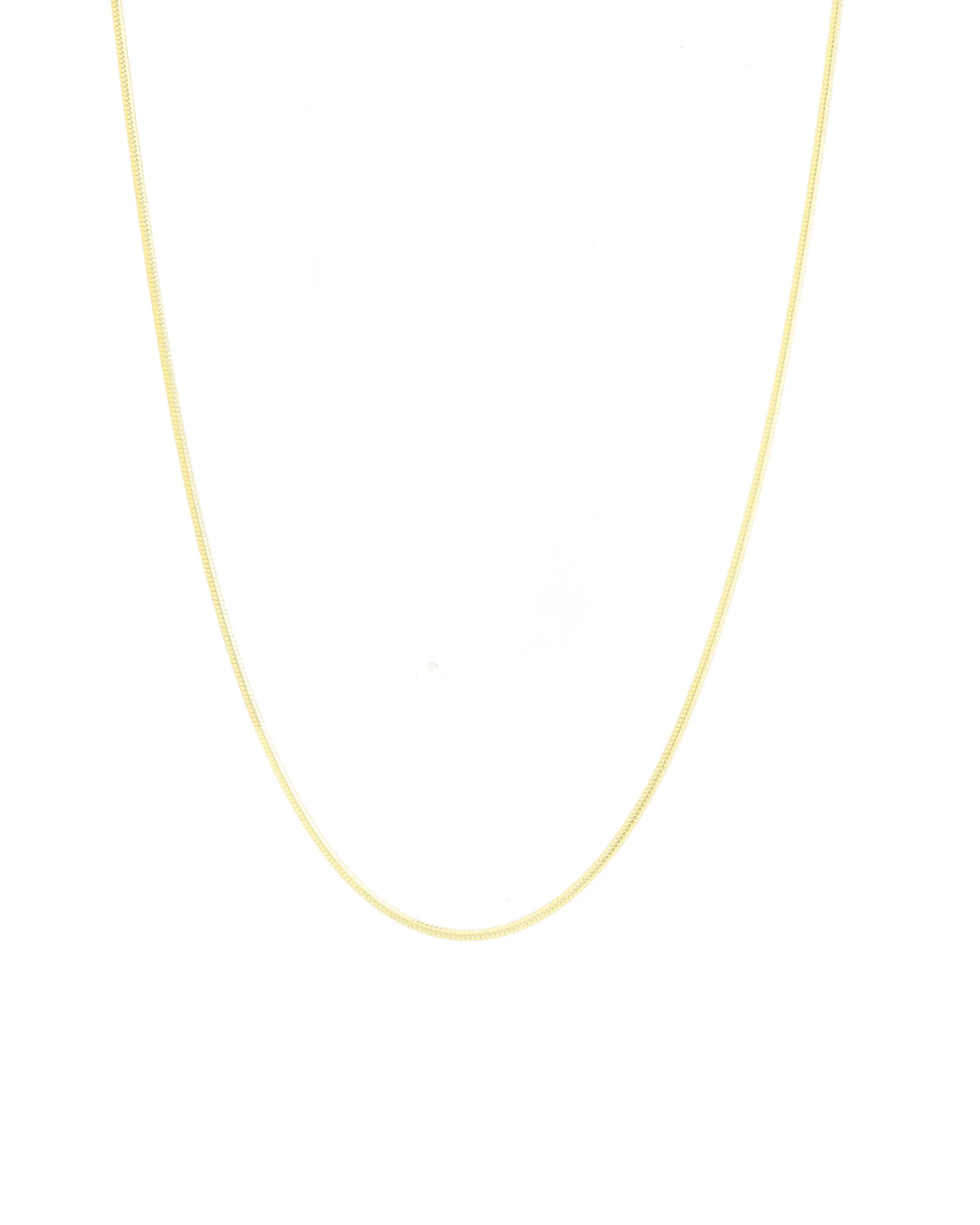 Snake Chain Necklace