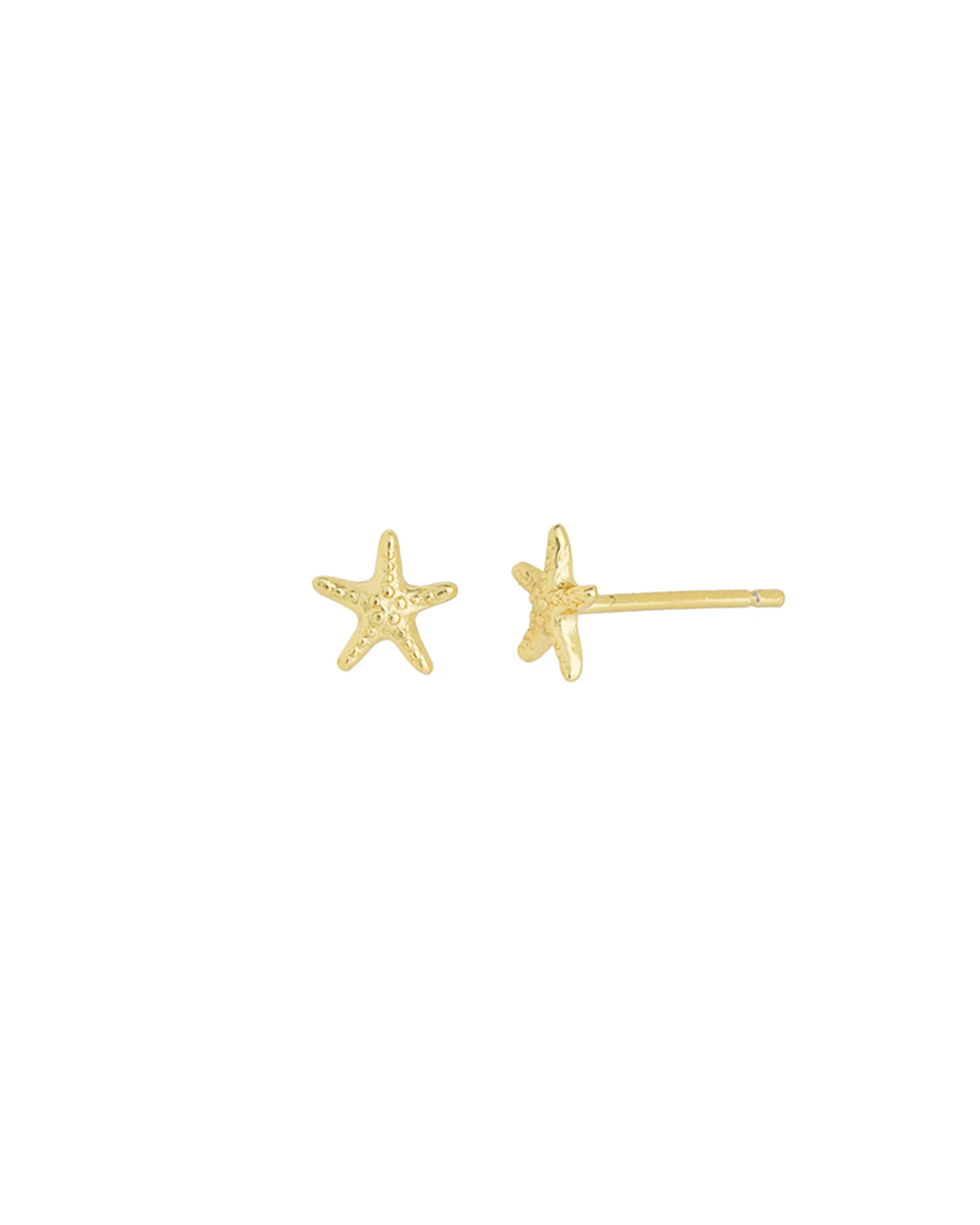 Starfish Studs