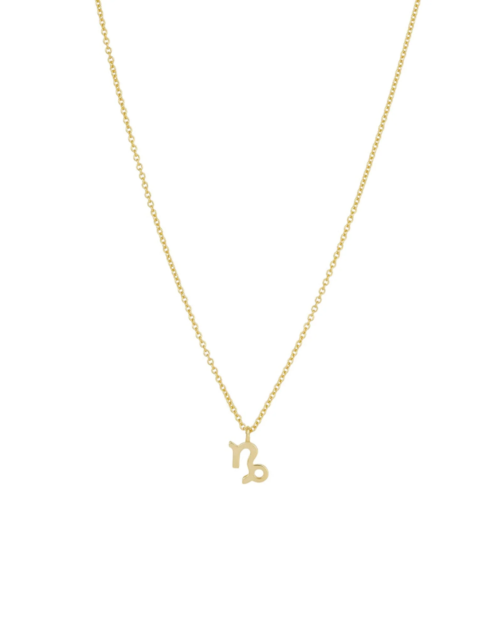 Zodiac Necklace - Image 15
