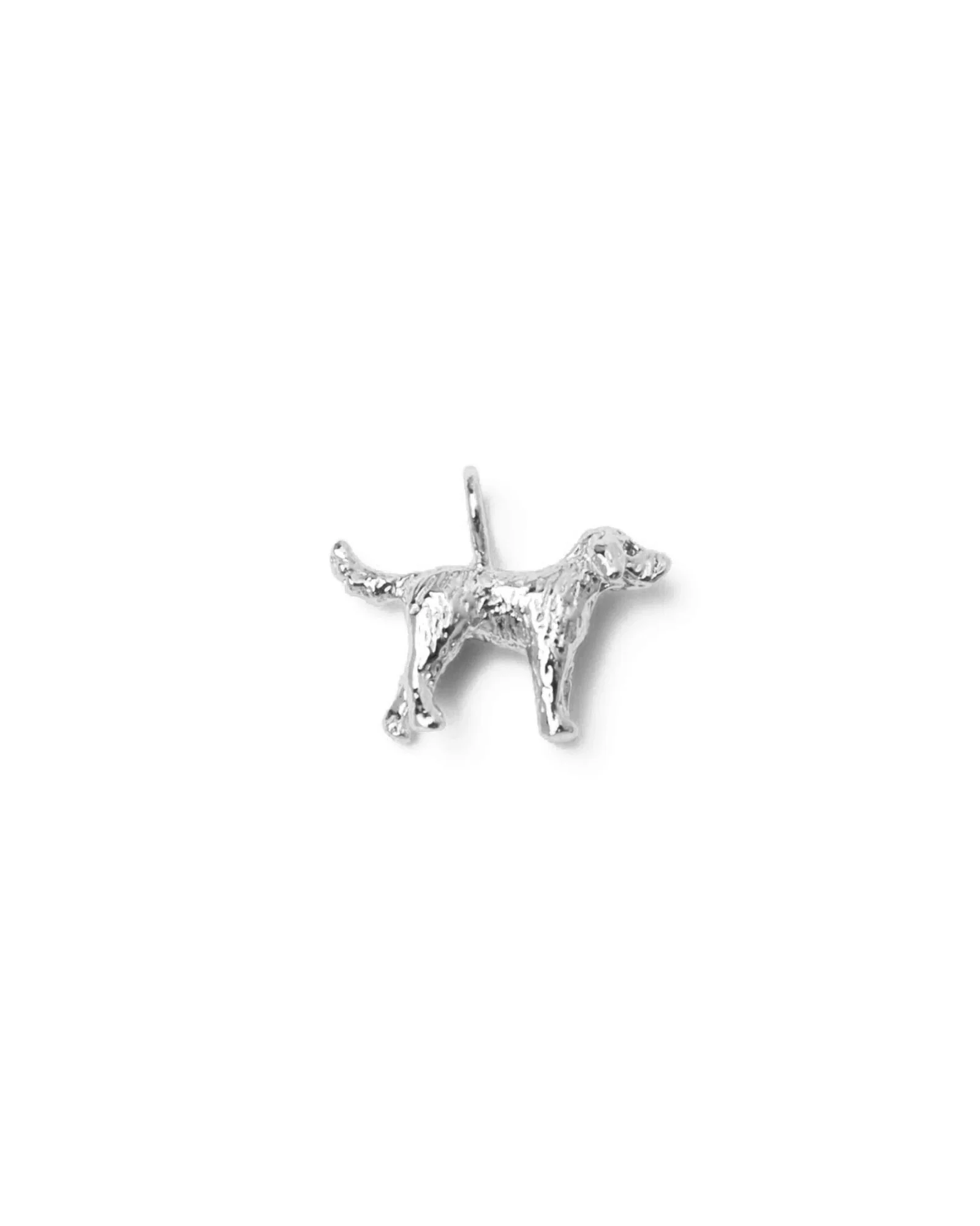 Dog Charm